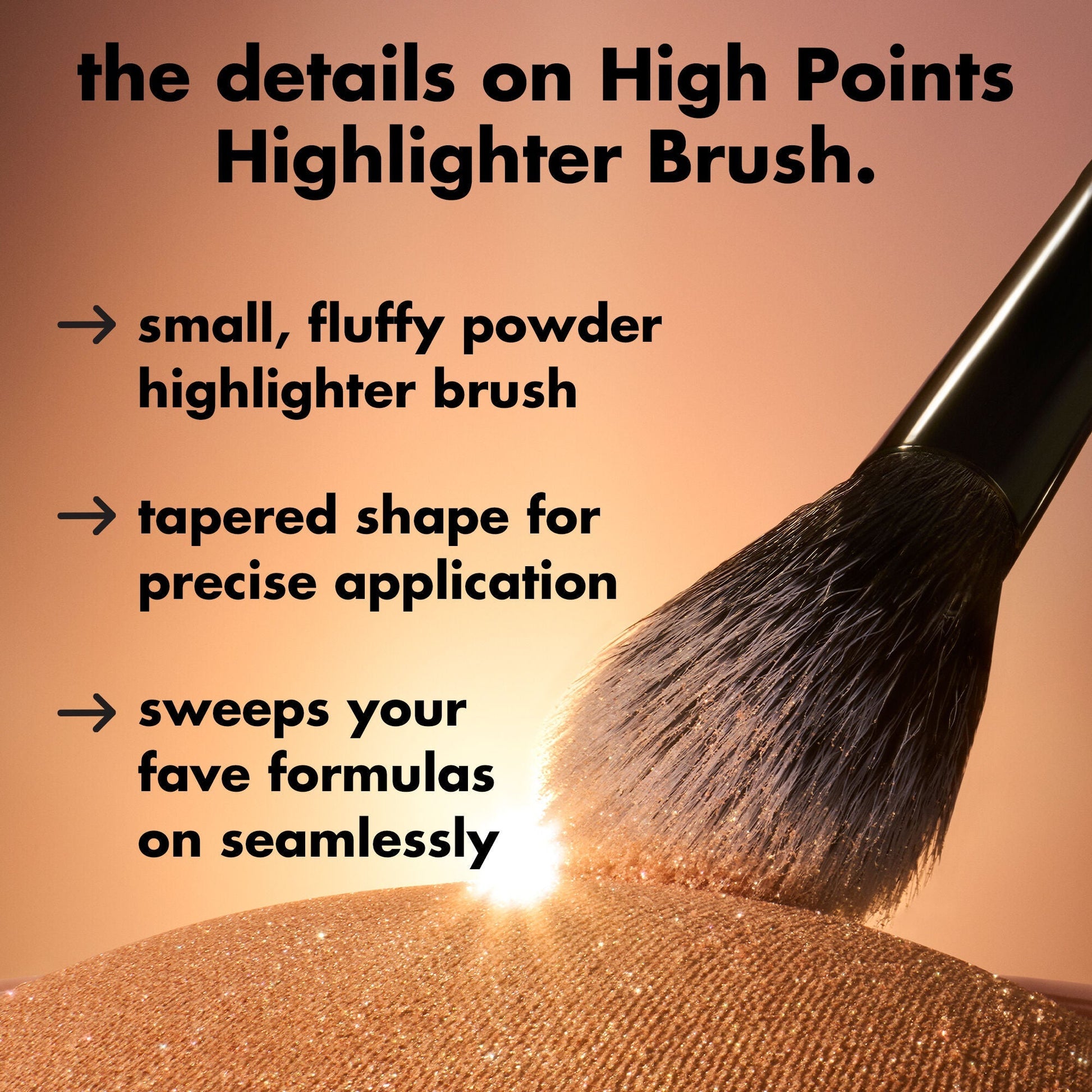 high-points-highlighter-brush-d9 0226_EDU_HighpointsHighlighterBrush_Details.jpg
