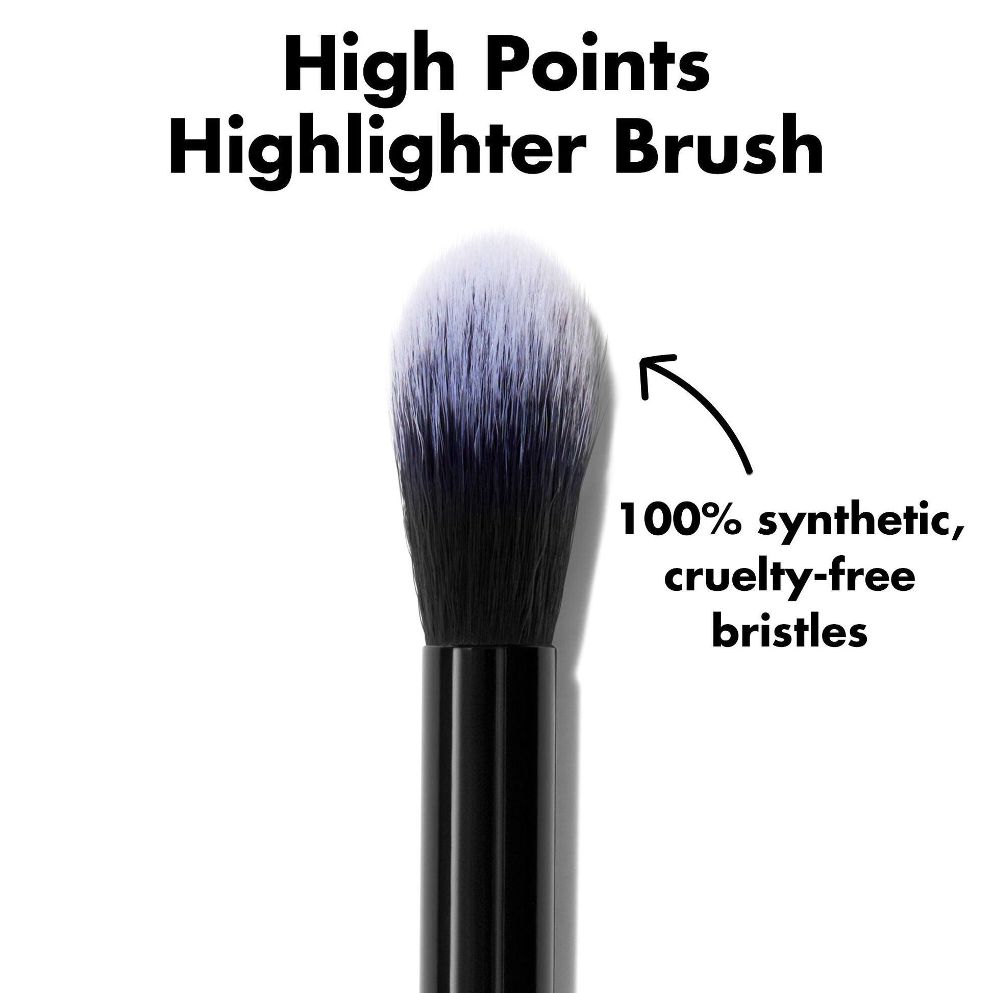 high-points-highlighter-brush-d9 0226_EDU_HighpointsHighlighterBrush_ProductDetail.jpg