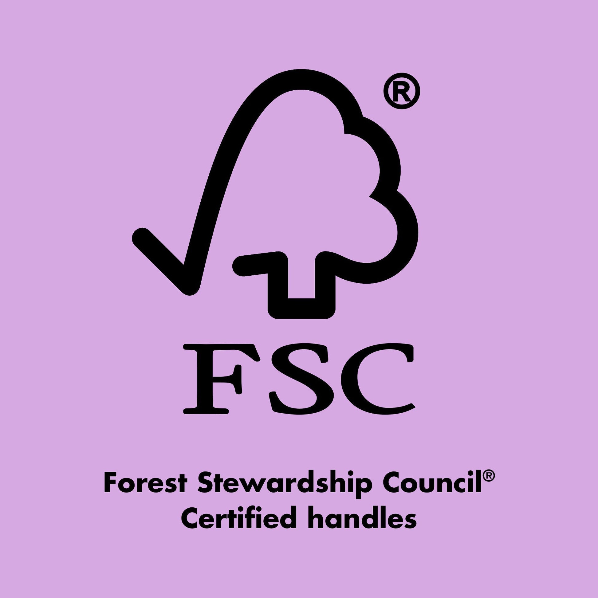 ten-out-of-ten-brush-kit-s7 0423_EDUCATION_FSC_EVERGREEN.jpg