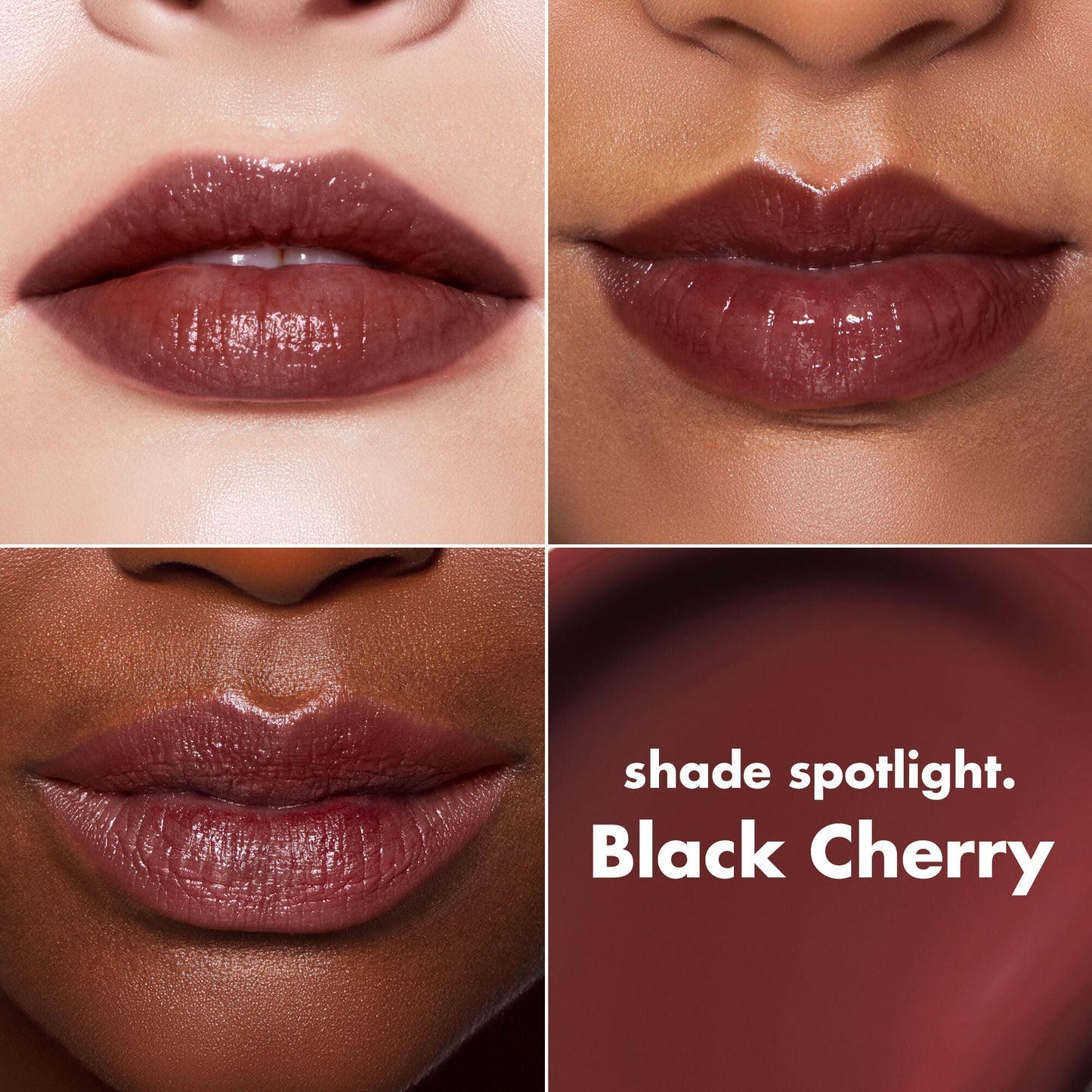 lip-lacquer-q3 0426_EDU_LipLaquer_ShadeChart_BlackCherry.jpg