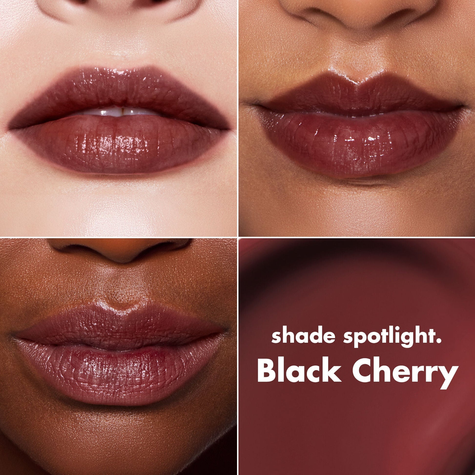 lip-lacquer-q3 0426_EDU_LipLaquer_ShadeChart_BlackCherry.jpg