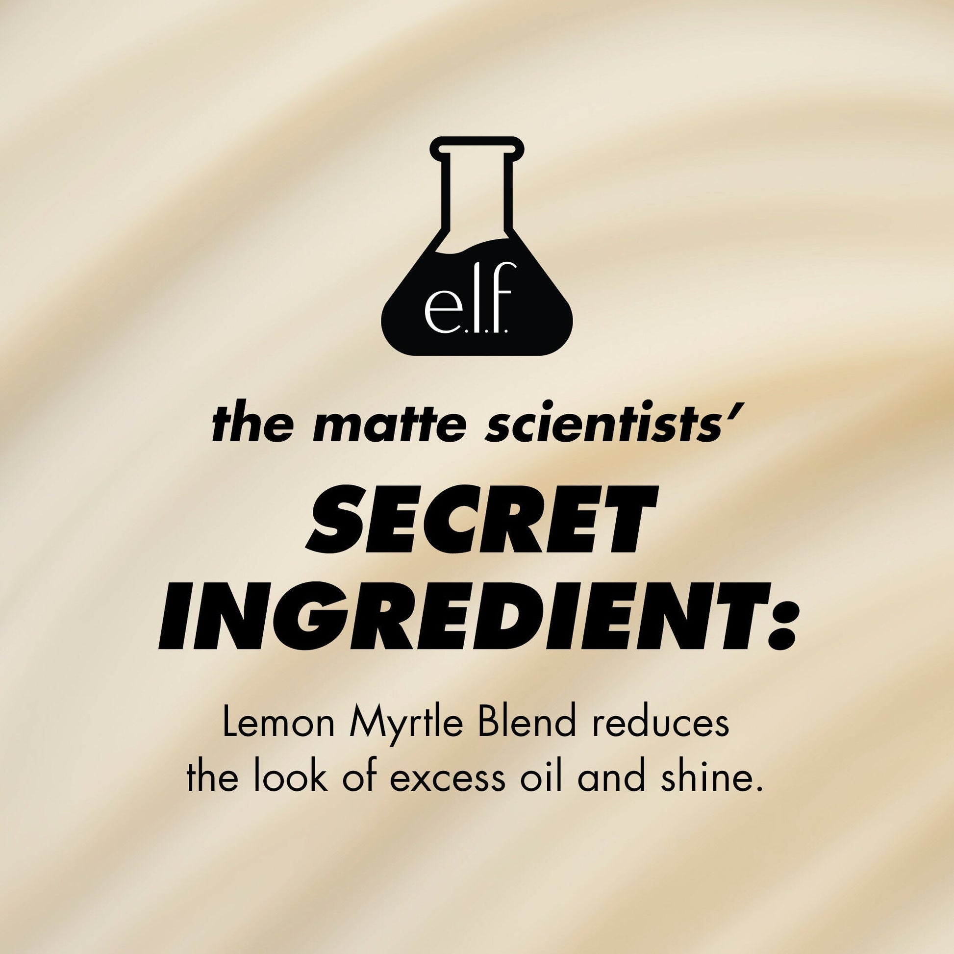 power-grip-matte-primer-u6 1224_EDUCATION_PGMATTE_INGREDIENT_b9de063f-aeb5-403f-9709-c3cafbf9c9d1.jpg