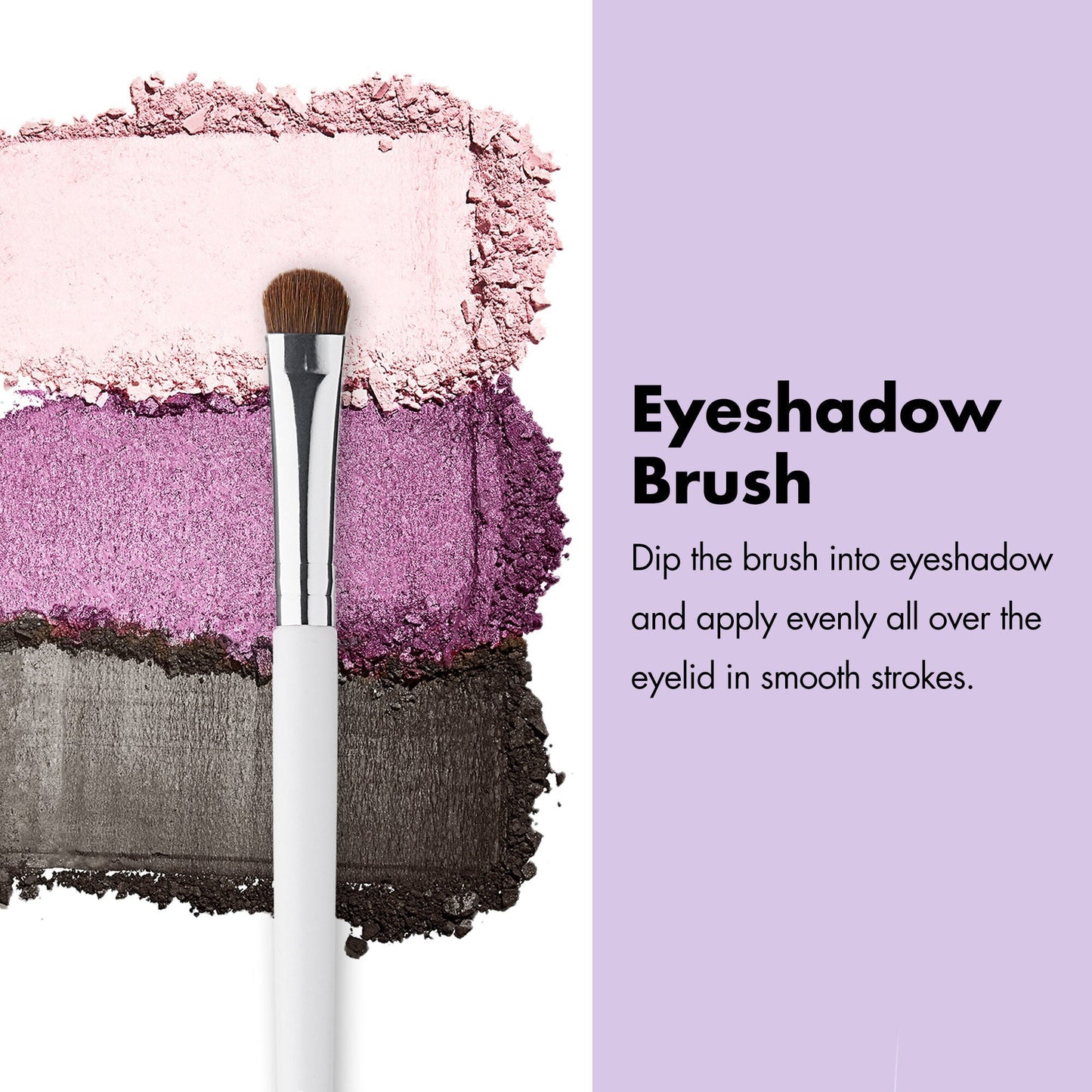 professional-set-of-12-makeup-brushes-y5 ProfessionalBrushes_Eye_EyeshadowBrush_PDP_Edu_2000x2000_2418e3b8-bb65-4e6d-af53-e6d0aab002ae.jpg